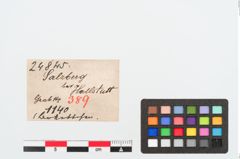 Etiketten zu Bronzekette (NHMW-PRAE-024845)
